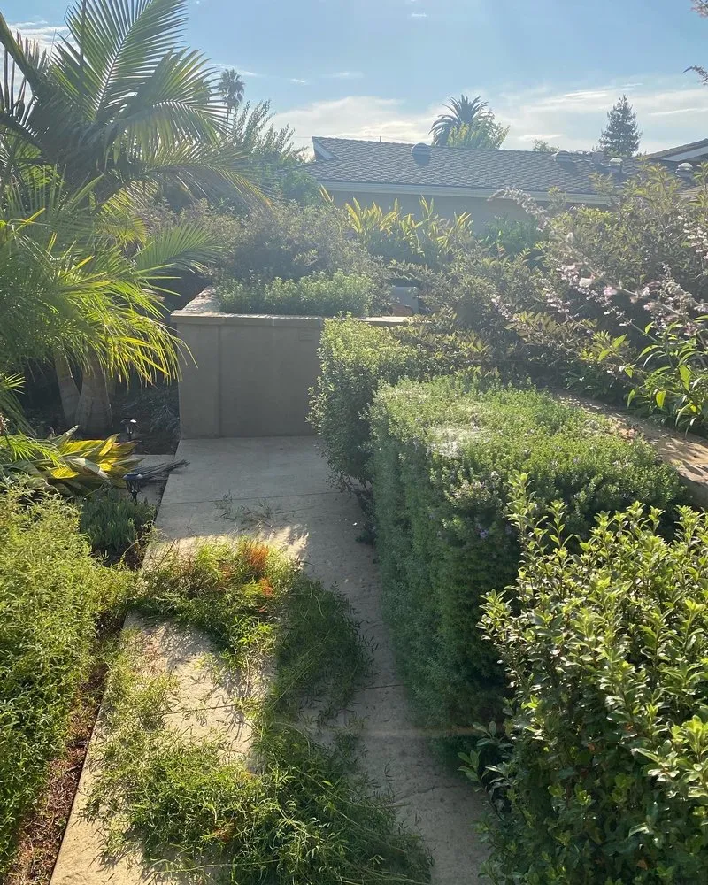 Professional plumbing repair in Santa Barbara, CA by Garcia’s Handyman Services