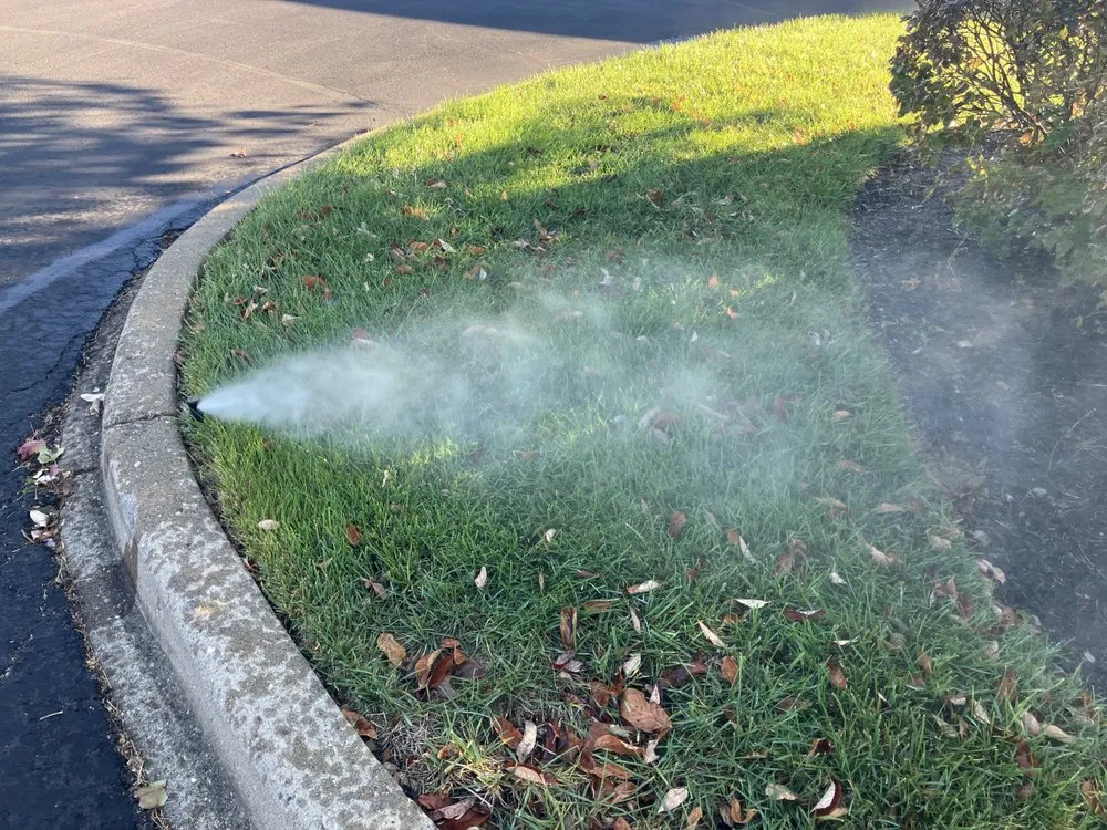 Slide of Garden Glow