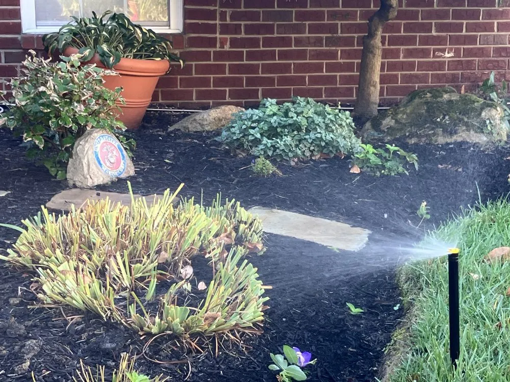 Slide of Garden Glow