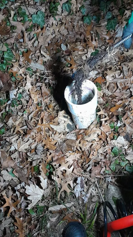 Slide of Garden State