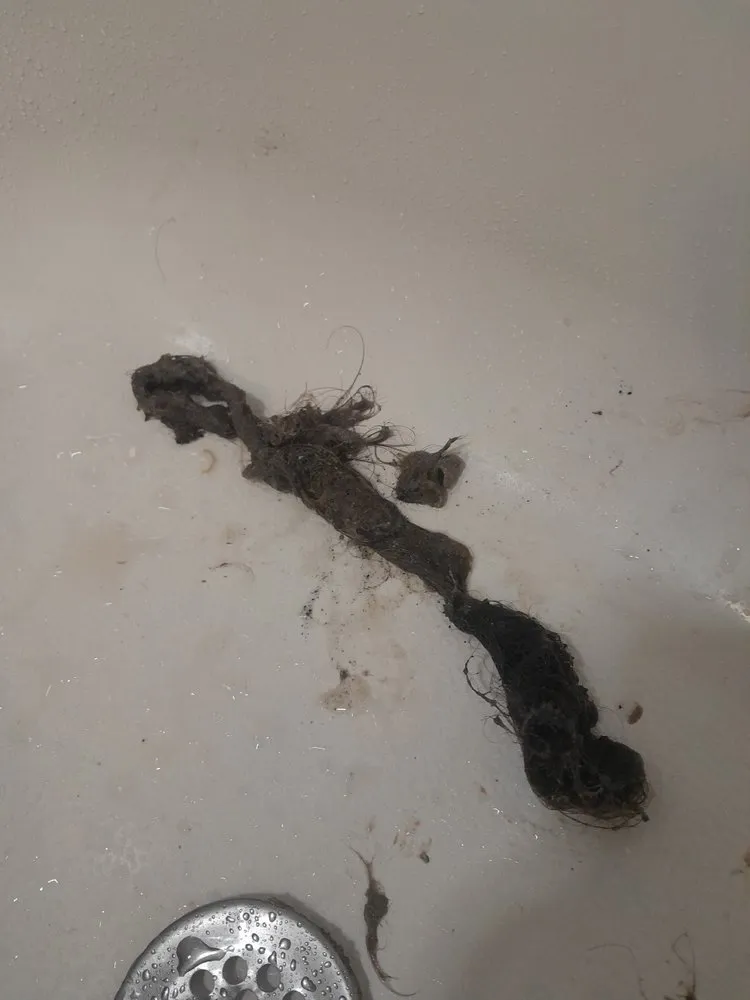 Slide of Garden State