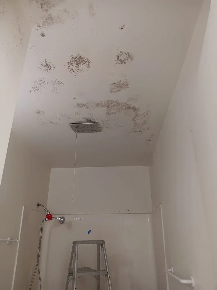 Slide of Gardners Maintenance And Exterior Home Detailing