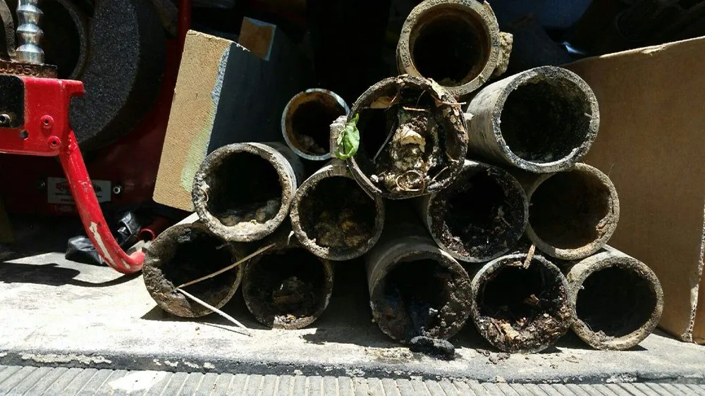 Slide of Gary's Guaranteed Rooter