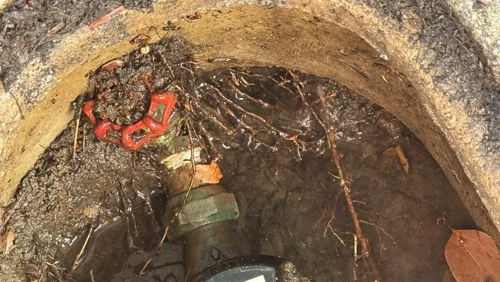 Slide of Gary's Rooter and Hydro-Jetting Service