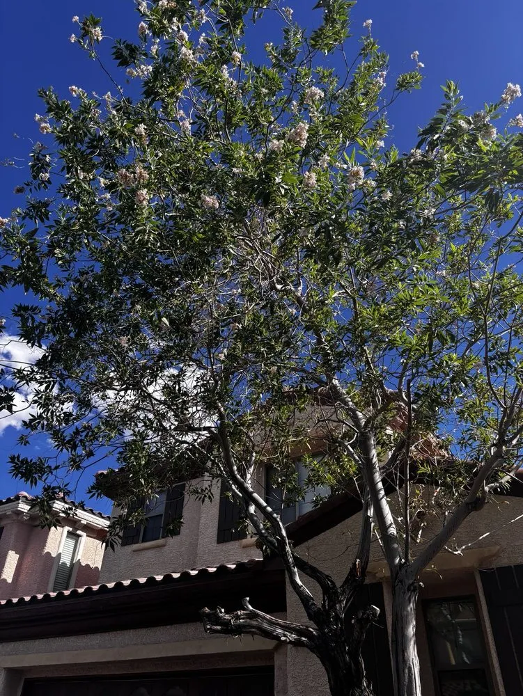 Slide of GAS Handyman Services