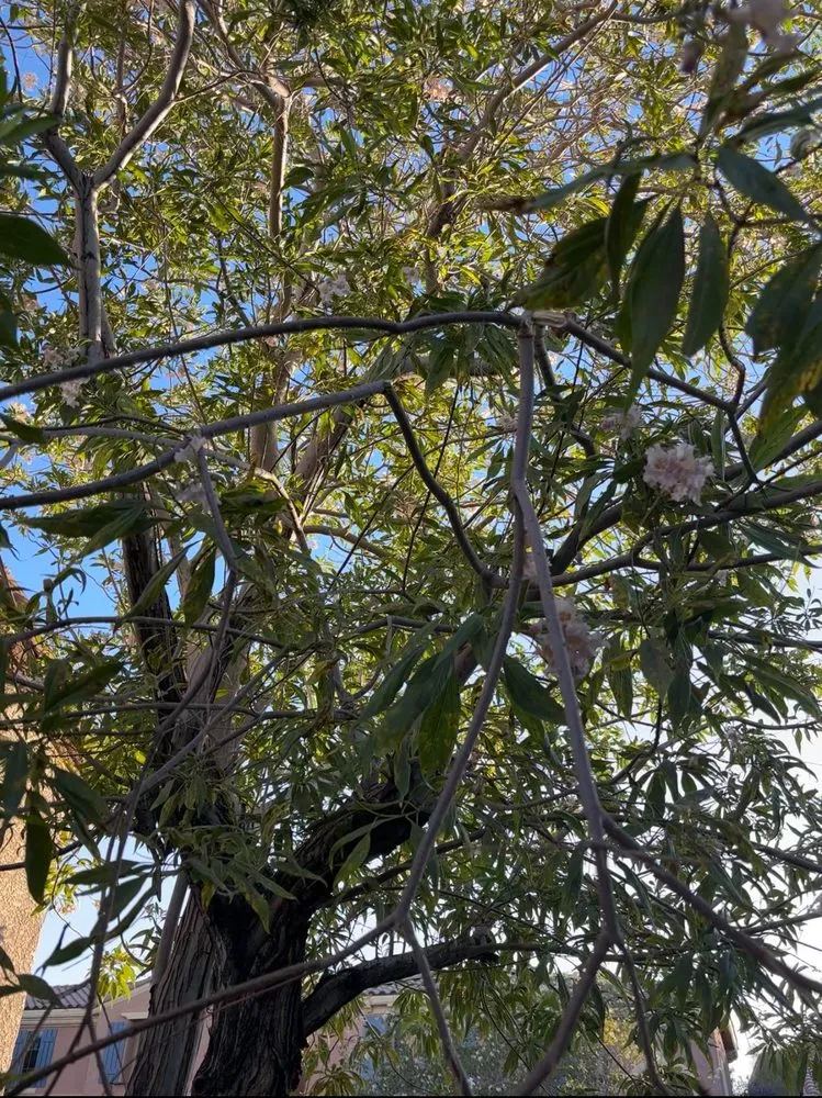 Slide of GAS Handyman Services