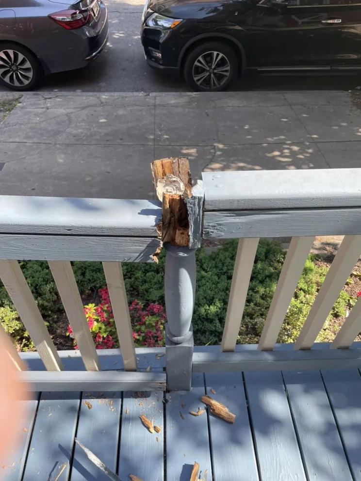 Slide of Gashi Brothers