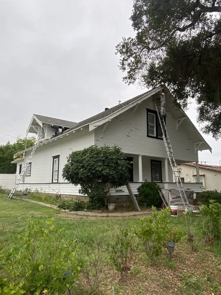 Slide of Gaspar’s Painting