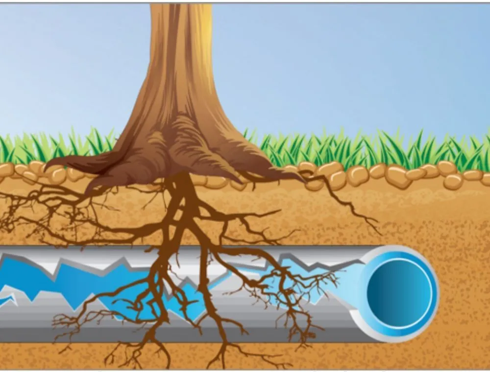 Slide of Gateway Rooter