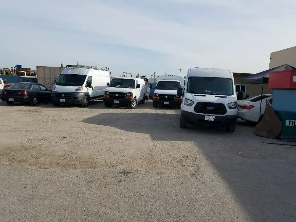 Slide of Gava's Rooter