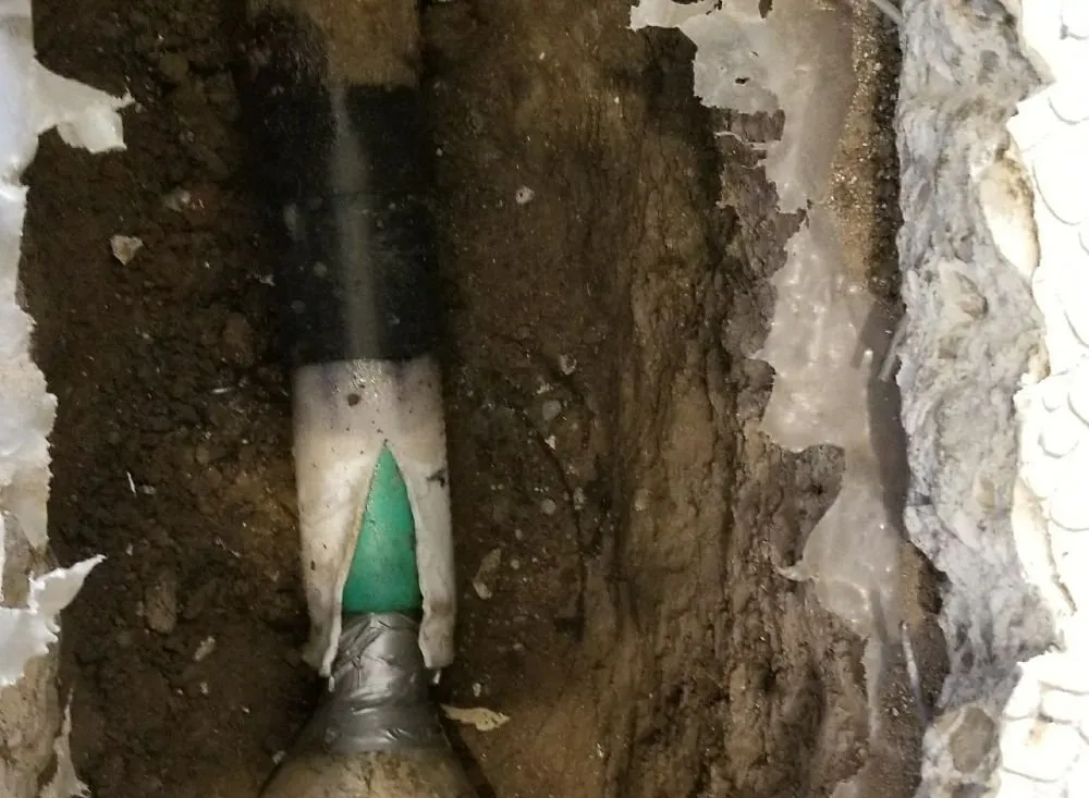 Slide of Gava's Rooter