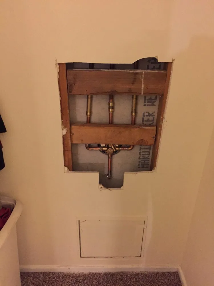 Slide of Gava's Rooter