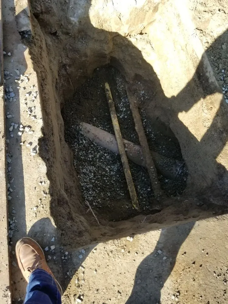 Slide of Gava's Rooter