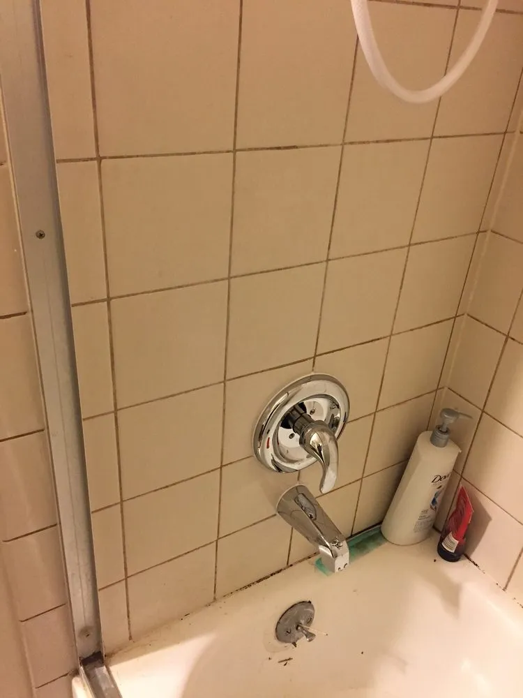 Slide of Gava's Rooter