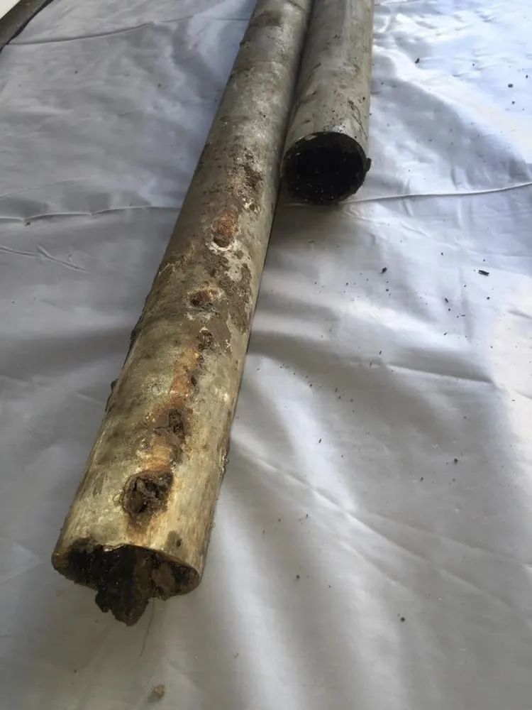 Slide of Gava's Rooter