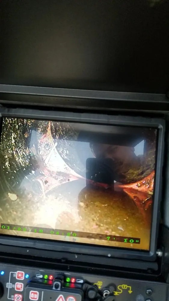 Slide of Gava's Rooter