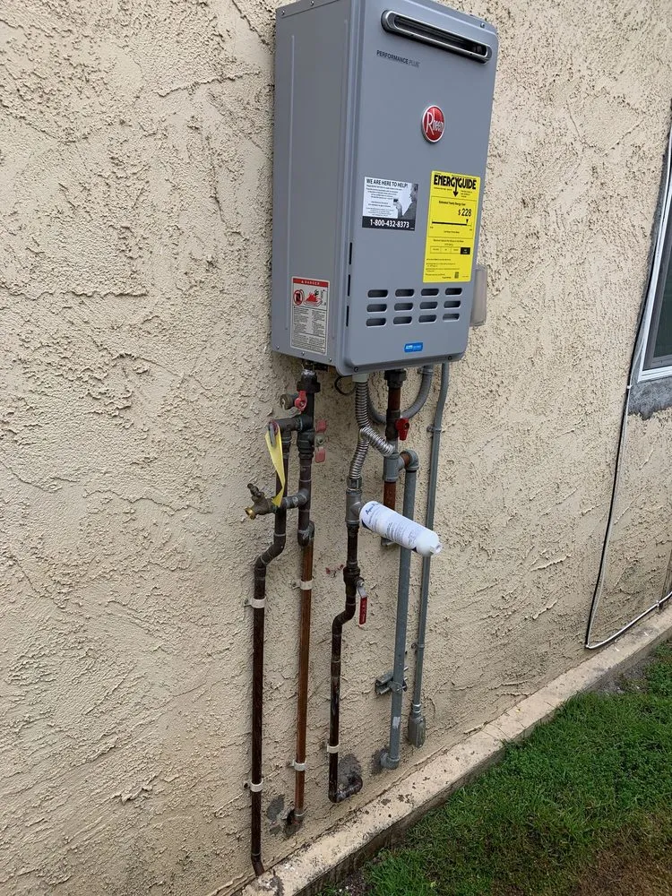 Slide of Gava's Rooter