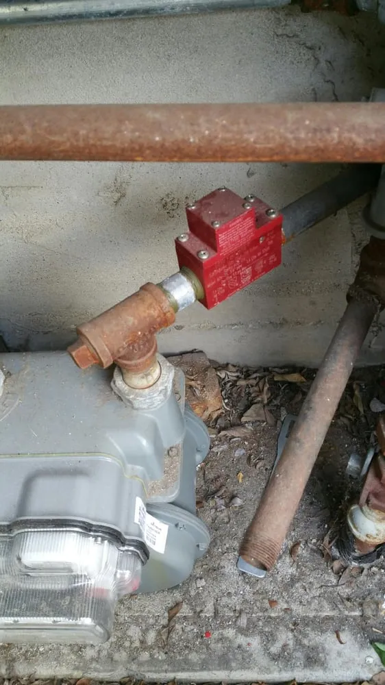 Slide of Gava's Rooter