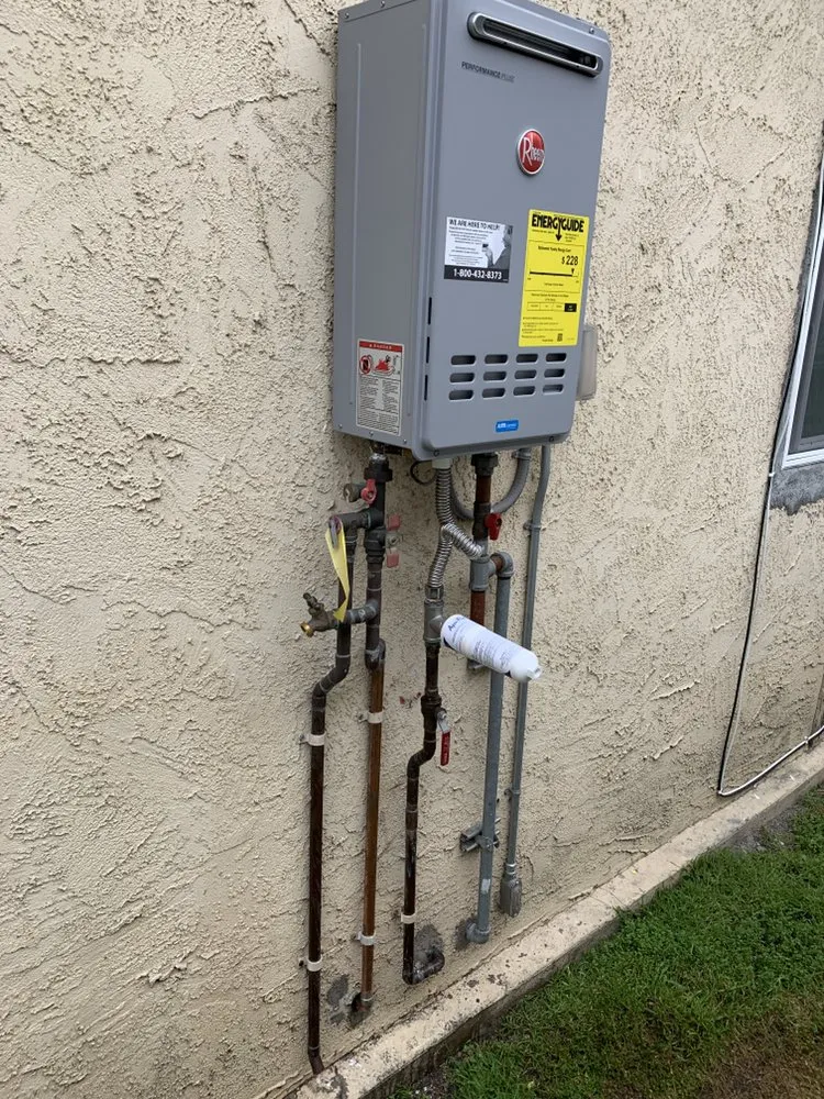 Slide of Gava's Rooter