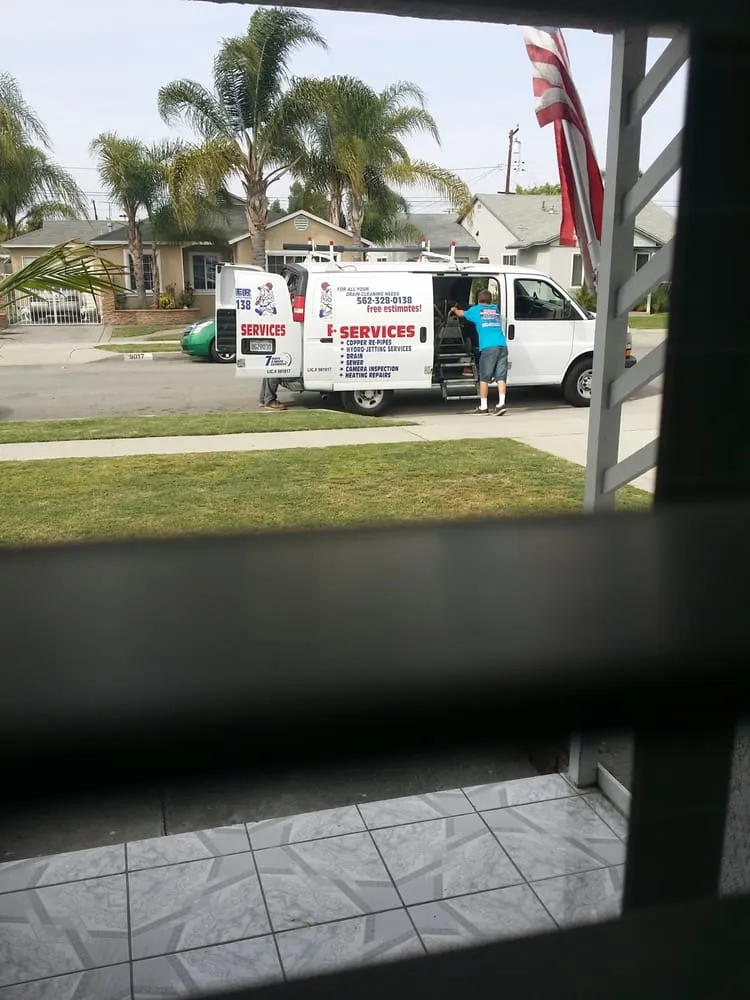 Slide of Gava's Rooter