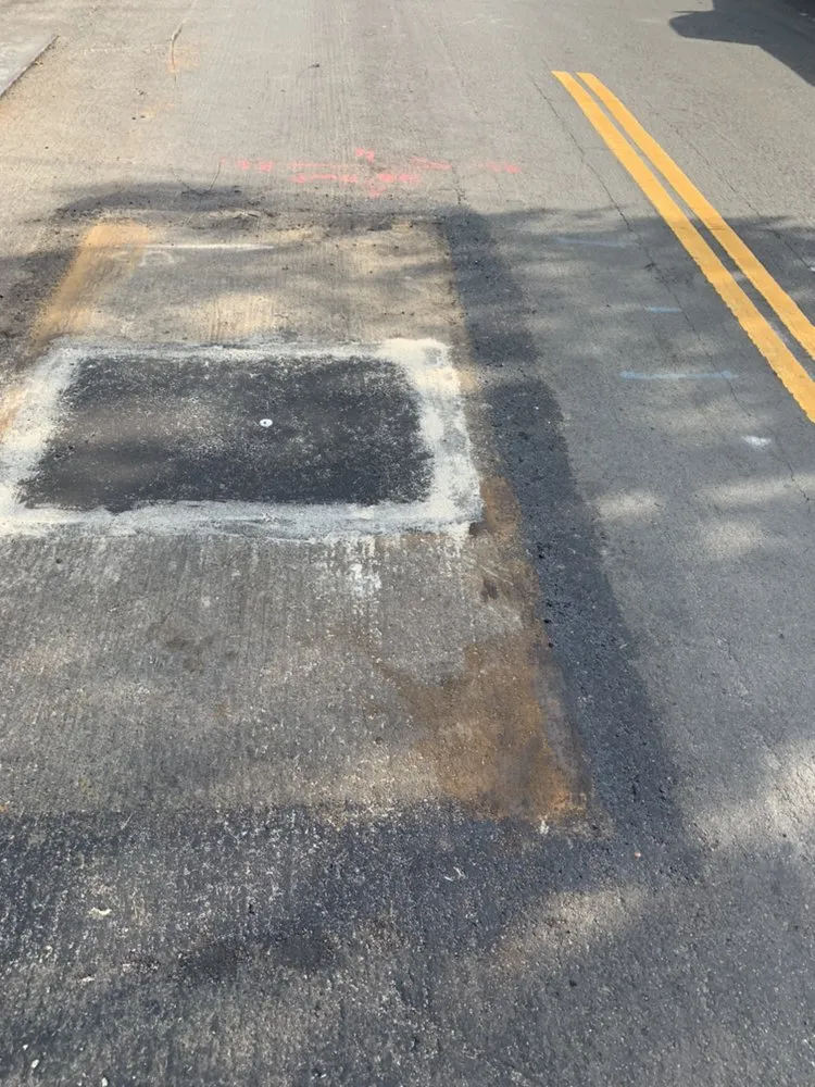 Slide of Gava's Rooter