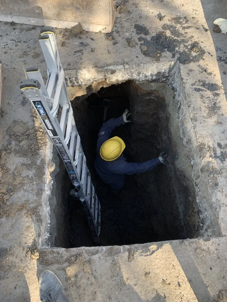 Slide of Gava's Rooter