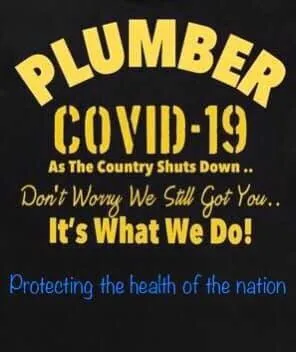 Slide of Gava's Rooter