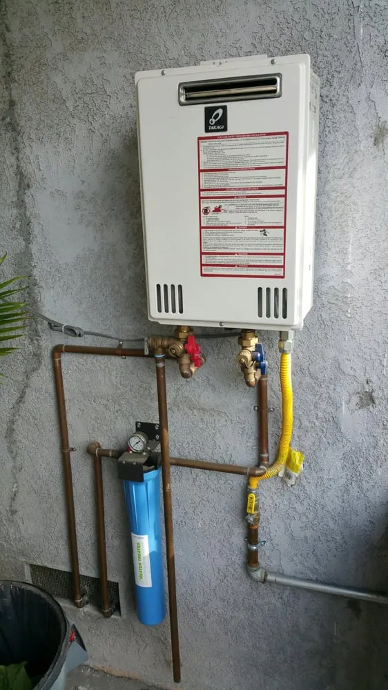 Slide of Gava's Rooter