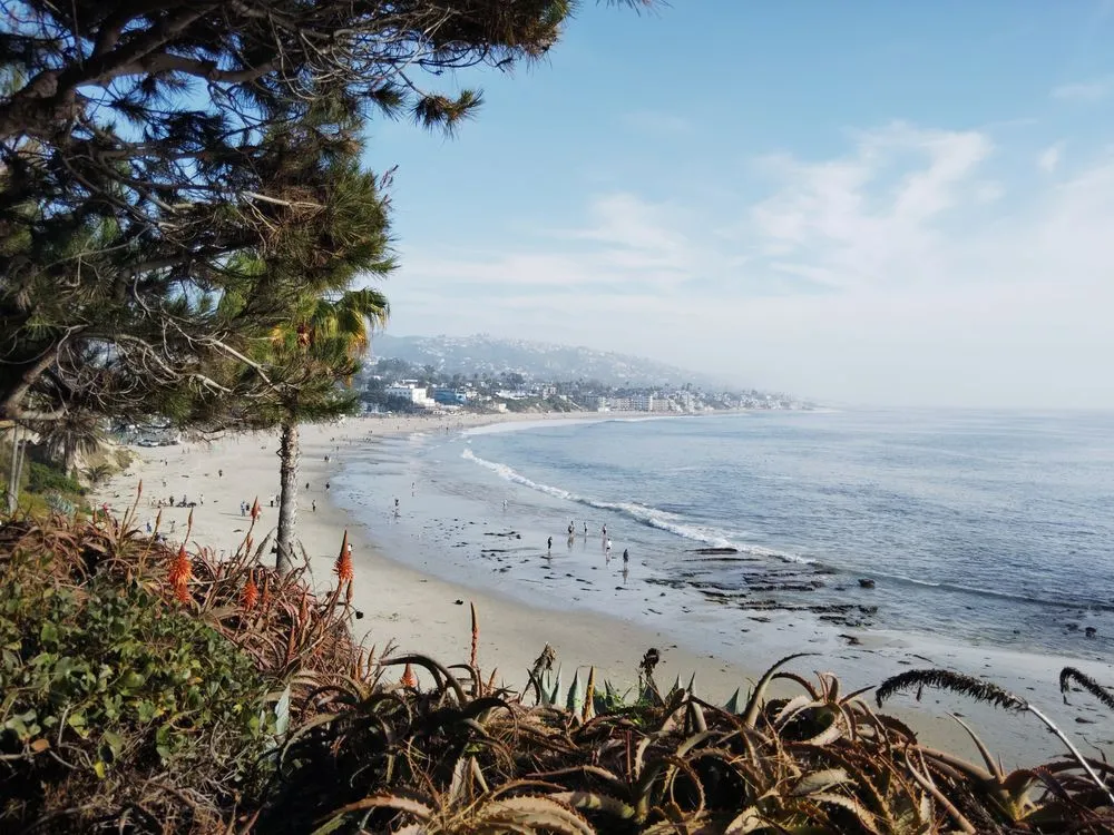 Slide of Gavin Handy Wilson