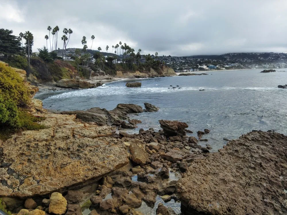 Slide of Gavin Handy Wilson