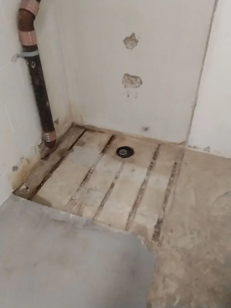 Slide of GBS Services