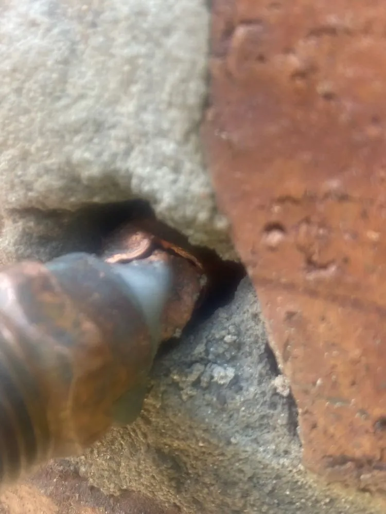 Slide of G.C Plumbing