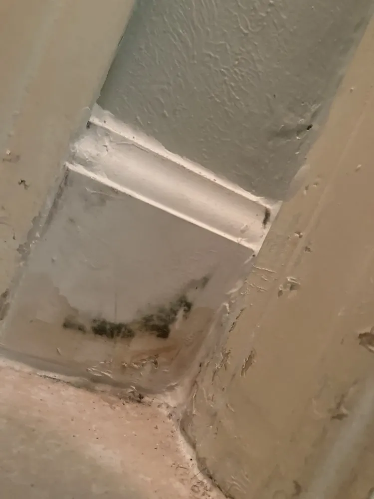 Top-rated water heater service for homes in Houston, TX by GEI Renovation Group