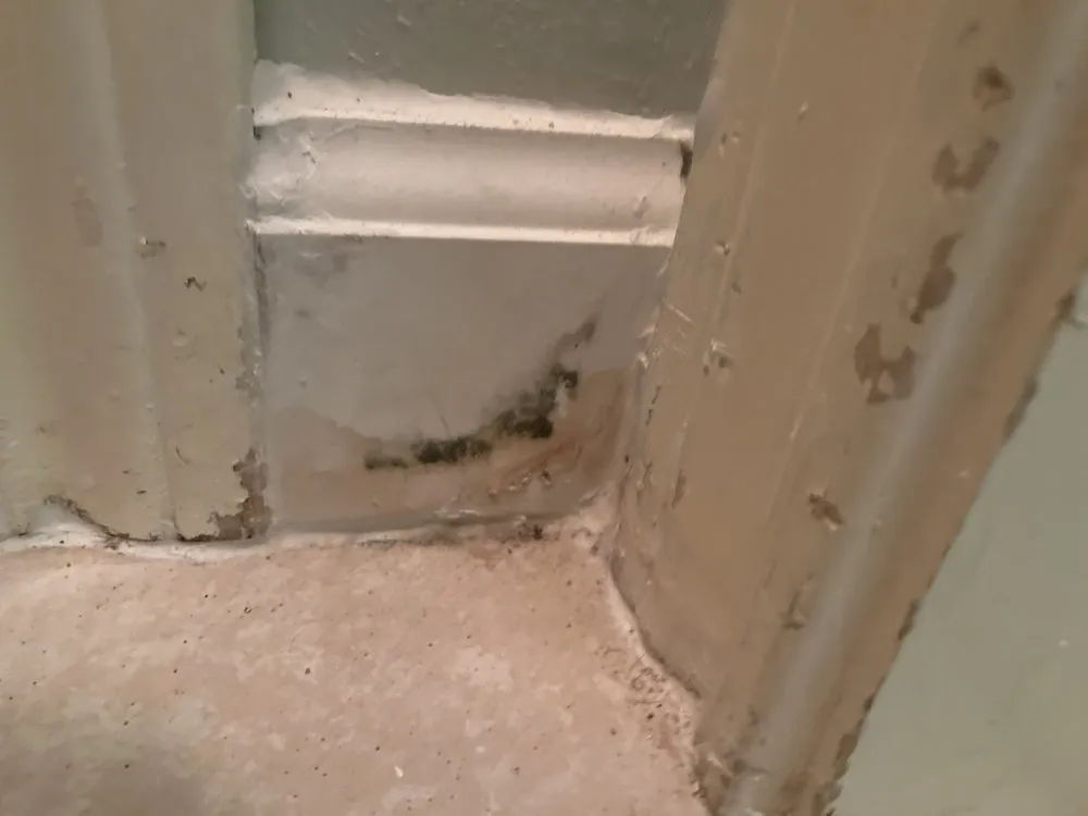 Emergency pipe repair service in Houston, TX - GEI Renovation Group