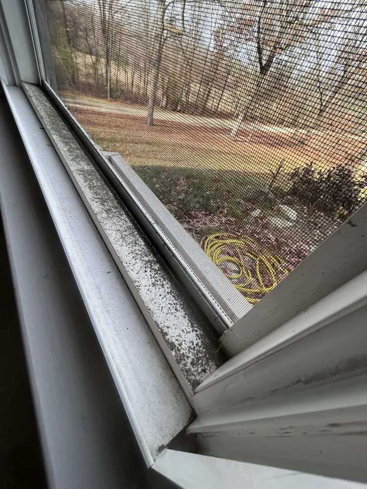 Top-rated leak detection in Highland Township, MI by Gem Services