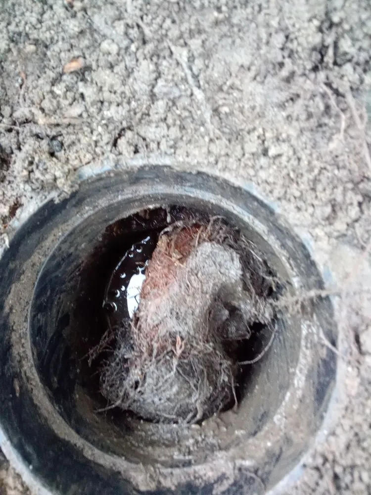 Slide of General Drain Roto-Rooter & Hydro Jetting Service