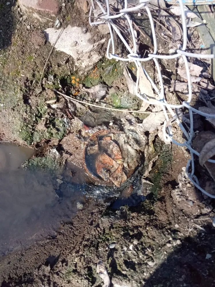 Slide of General Drain Roto-Rooter & Hydro Jetting Service