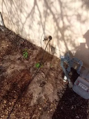 General Drain Roto-Rooter & Hydro Jetting Service Logo