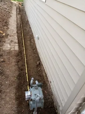 General Expectations