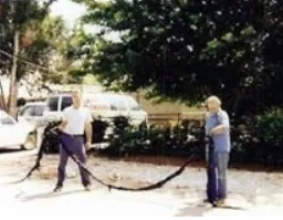 Slide of General Plumbing Service