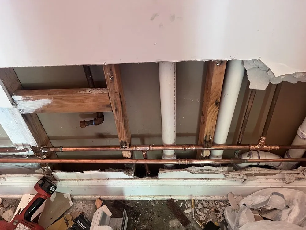 Slide of General Rooter XP