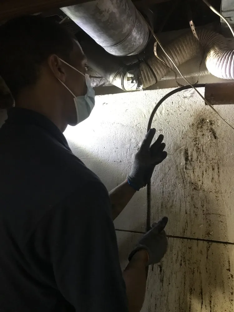 Slide of Generation Plumbing