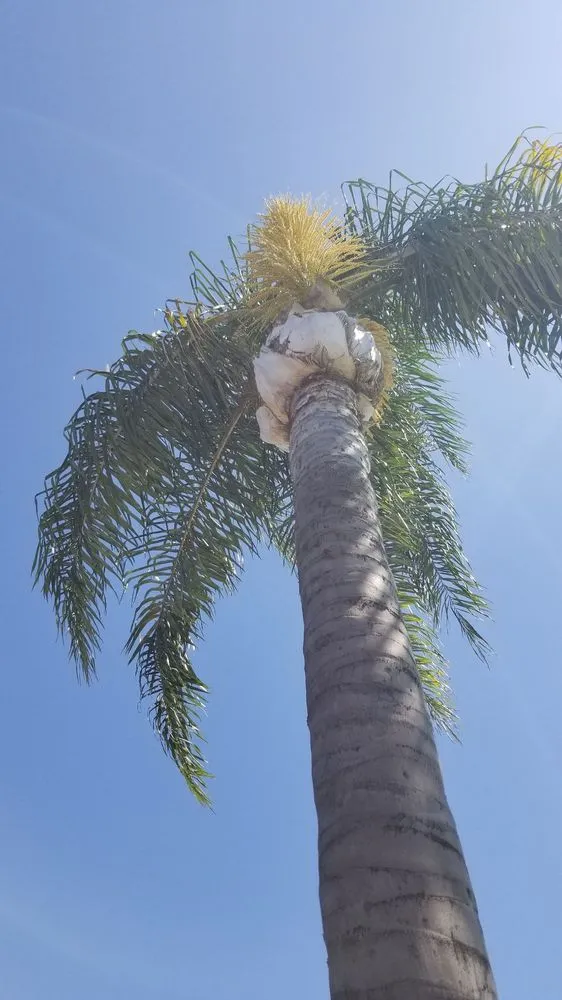 Slide of Gennaro's Plumbing