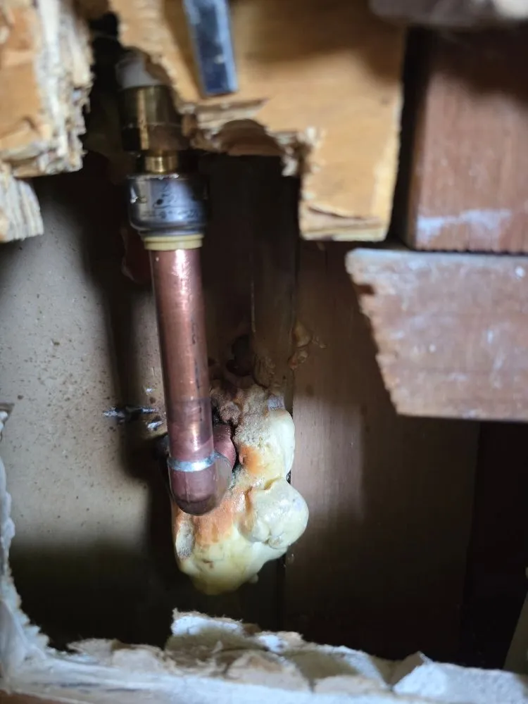 Slide of Genuin Brothers