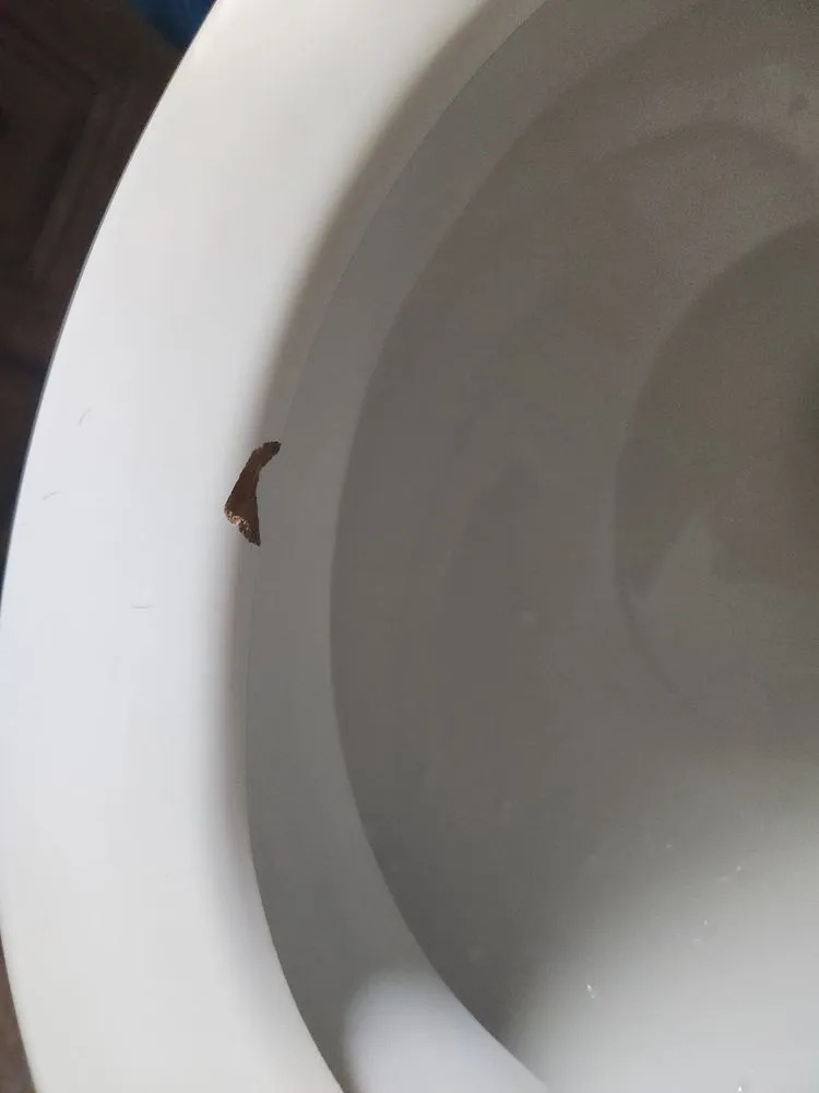 Slide of George Baird Drain Service