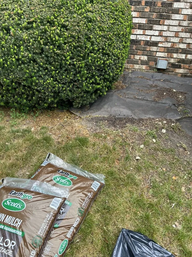 Expert drain cleaning service in Indianapolis, IN - George’s Home Improvement