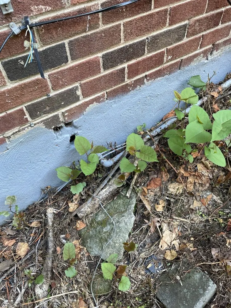 Top-rated leak detection in Atlanta, GA by Georgia Plumb Solutions