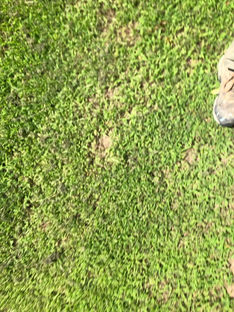 Emergency leak detection in Powhatan, VA by Gerow Enterprises