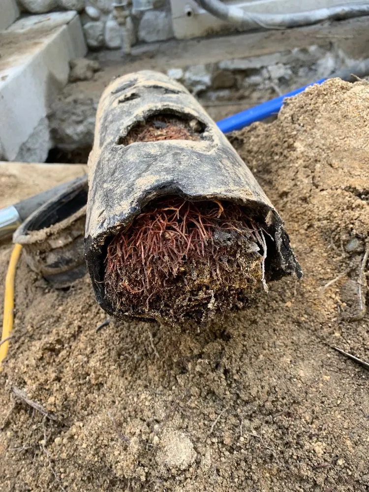 Slide of Gilbert Acuna Plumbing