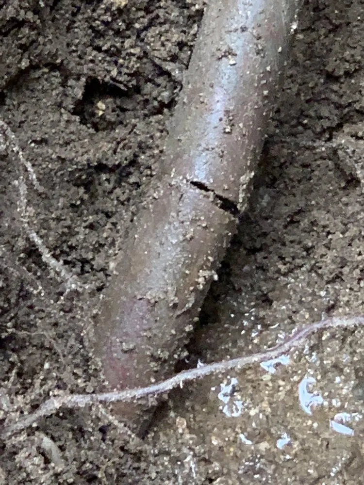 Slide of Gilbert Acuna Plumbing